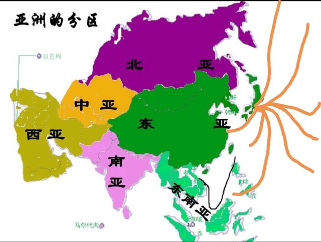 光荣之路上的狗