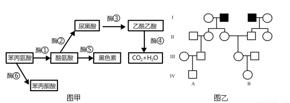 公鸡母鸡拖拉机