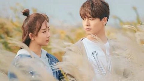 全职杀手（粤语版）