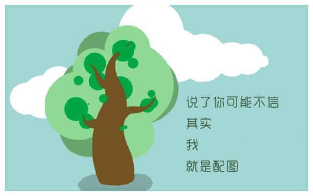 六十一号的恐怖