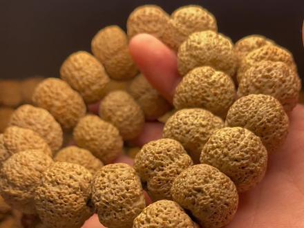 六月里来好阳光