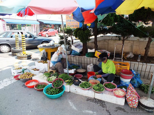 养鬼吃人6：死亡代码